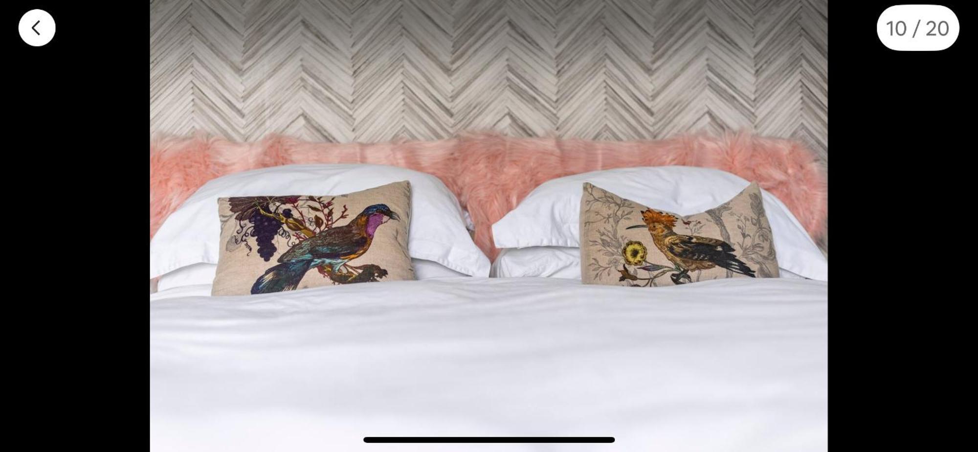 Attractive Comfortable Room In Friendly House เฮสติงส์ ภายนอก รูปภาพ